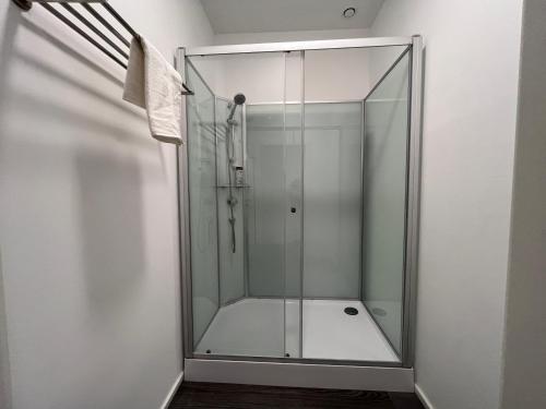 弗莱堡Simplex Apartments Am Schwabentorring的浴室设有玻璃门和淋浴间