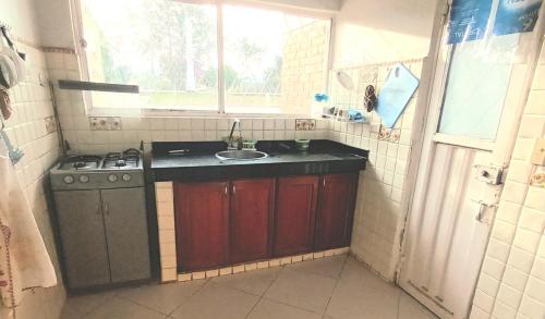帕斯托shevabrajot的一间带水槽和炉灶的小厨房