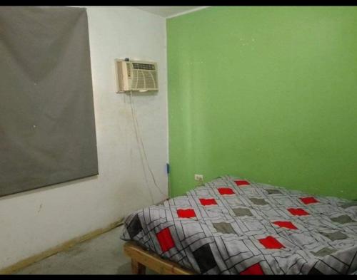 伊达尔戈州波萨里卡Martyshouse的一间卧室设有一张床和绿色的墙壁