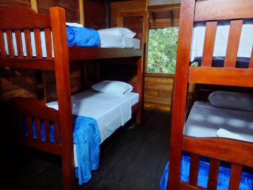 基布多Paraíso Verde Lodge的客房设有两张双层床和一扇窗户。