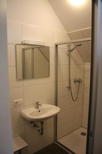 OttersbergOtterstedter Mühle的浴室配有盥洗盆和带镜子的淋浴