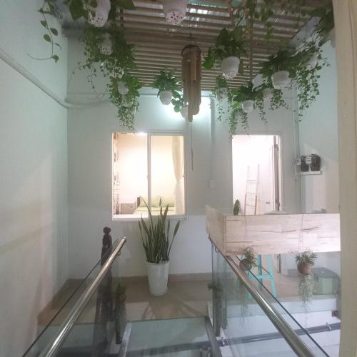 胡志明市Garden House的天花板上挂有植物的房间