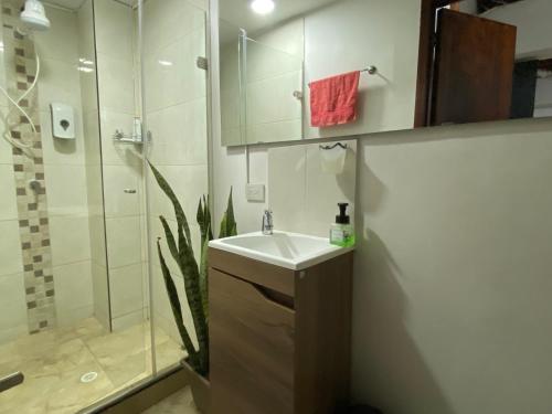 卡利Apartarstudio muy bien ubicado, cercano a todo!!的一间带水槽和淋浴的浴室