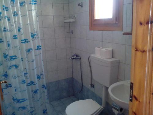 法纳里德拉卡诺宾馆的一间带卫生间和淋浴帘的浴室