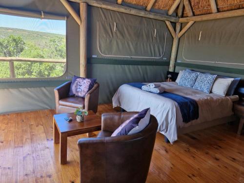阿多Harmony Luxury Tents & Safari的一间卧室配有一张床、两把椅子和一张桌子