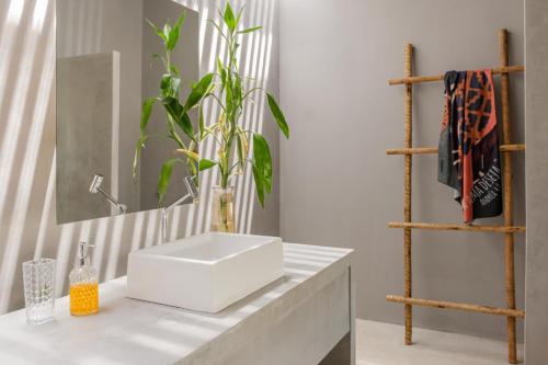 普拉亚德莫伊塔斯Vila Flor Studios的一间带白色水槽和架子的浴室