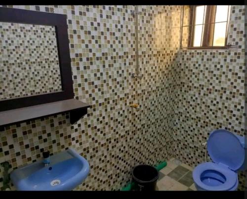 拉各斯Hibis k hotel (green gate)的浴室设有蓝色的卫生间和水槽。
