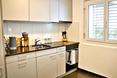 TerritetStudio 5 places à deux pas du Lac的厨房配有白色橱柜、水槽和窗户。