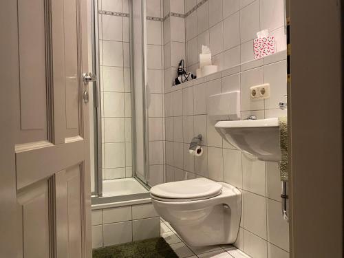 吉洛佐芬Hotel Weinstube am Markt的浴室配有卫生间、淋浴和盥洗盆。