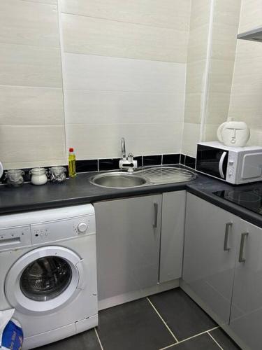 谢菲尔德Cozy Downtown Studio Flat in Sheffield的厨房配有水槽和洗衣机