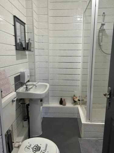 谢菲尔德Cozy Downtown Studio Flat in Sheffield的浴室配有卫生间、盥洗盆和淋浴。