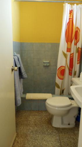 苏莎亚Casa Sylvie的一间带卫生间和淋浴帘的浴室