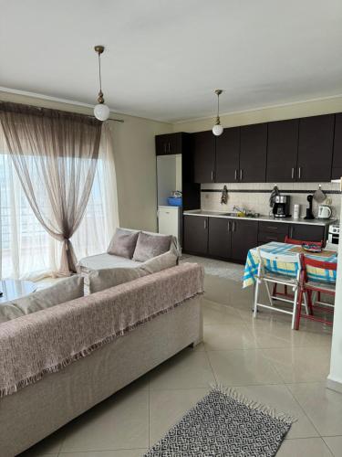 亚历山德鲁波利斯Zoe's Luxury Homes的带沙发的客厅和厨房