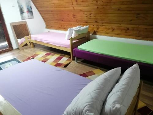 下米拉诺瓦茨Vikendica Dunav i SAVA的一间设有两张床和一张沙发的房间