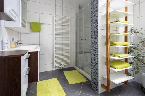 Barnbach艾尔菲公寓的带淋浴和盥洗盆的浴室
