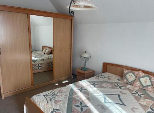 迪勒维尔纳Nida的一间卧室配有一张床和一面大镜子