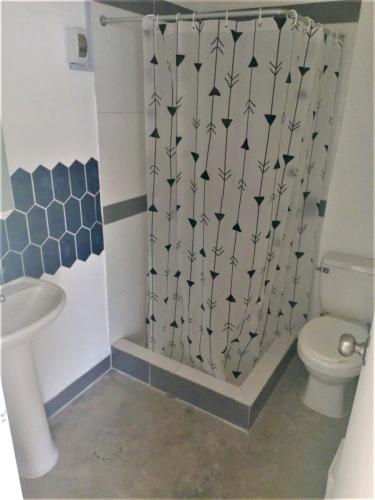 塞鲁阿苏尔Condominio Rinconada de Cerro Azul的浴室配有带卫生间的淋浴帘