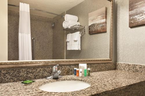 沃思堡沃思堡北化石溪雷迪森酒店的浴室的柜台设有水槽和镜子
