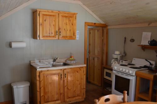 托伯莫里Bruce Anchor Villa & Cabins的厨房配有木制橱柜、水槽和炉灶。