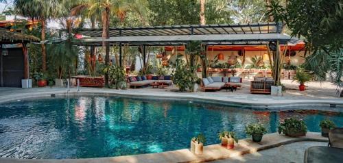 波特雷罗Curiol Boutique Hotel & Lounge的一个带椅子的游泳池和一个庭院