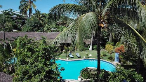 贝岛Madiro hôtel的享有游泳池的顶部景色,游泳池拥有棕榈树