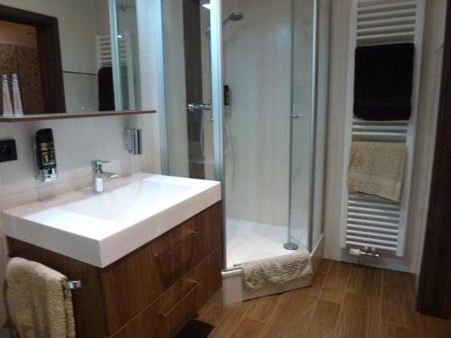 海德克塞博德斯穆旅馆的一间带水槽和淋浴的浴室