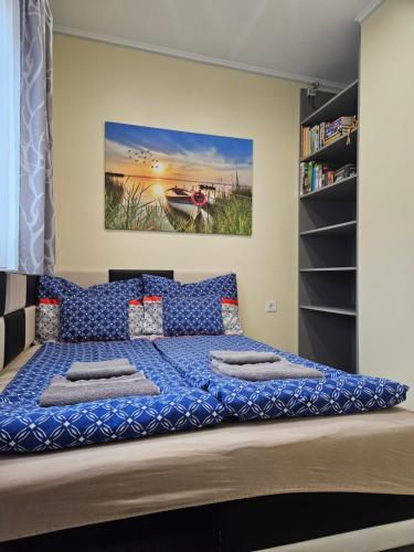 巴拉顿诺尔马迪Bowery Guest Houses - Árnyas vendégházak的一间卧室配有一张带蓝色床单的大床