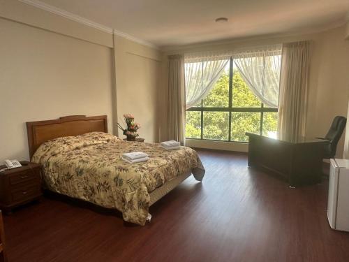 科恰班巴Hotel Oblitas的一间卧室设有一张床和一个大窗户