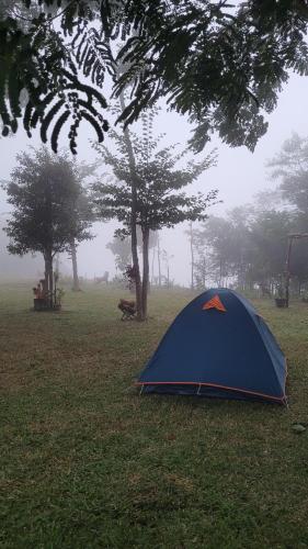 维索萨-杜塞阿拉Porto das Nuvens的蓝帐篷,坐在草地上