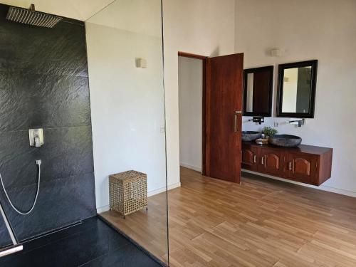 帕西库达Vandalous Bay的带淋浴的浴室和玻璃墙