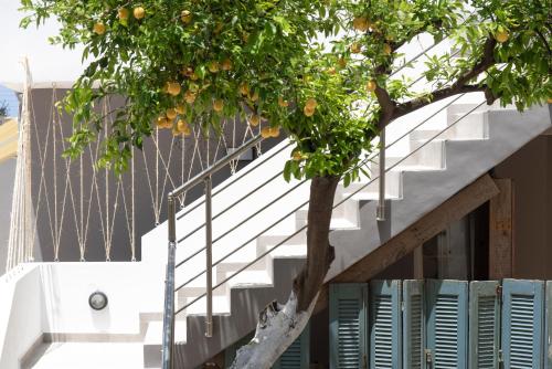 干尼亚Chania Design Suites的一座带楼梯的建筑前的橘子树