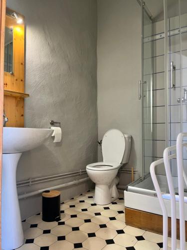 蒙多凡Auberge Le Glacier Bleu的浴室配有卫生间、盥洗盆和淋浴。