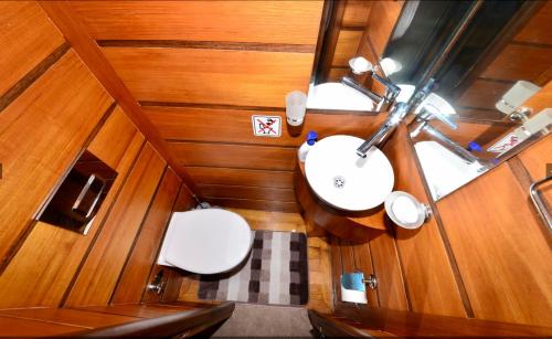 费特希耶Hayat Bu, Boot的享有带水槽和卫生间的浴室的顶部景致。