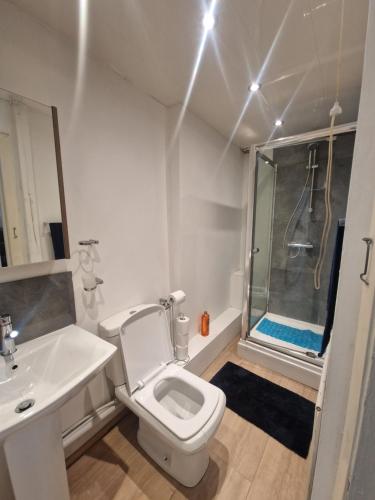 沃尔森德Executive 2-Bedroom House in Wallsend的一间带水槽、卫生间和淋浴的浴室