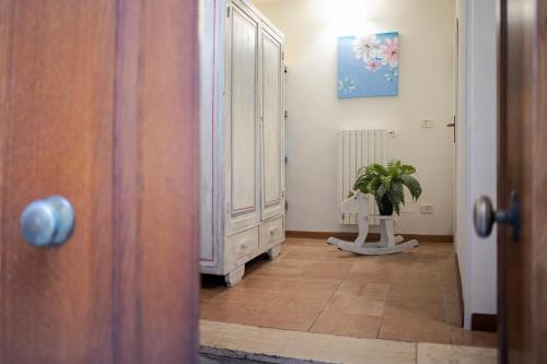 奥维多Casa Vèra Camelia Apartment的走廊上设有门和盆栽