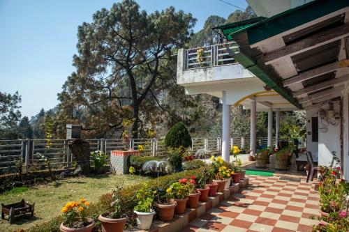奈尼塔尔Nature's Vibe Homestay - Nainital - Kainchi Dham的庭院里种满鲜花的花园