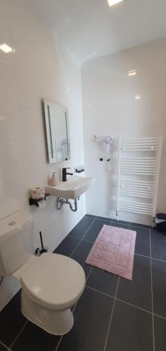 MühlauPension Valentina的浴室配有白色卫生间和盥洗盆。