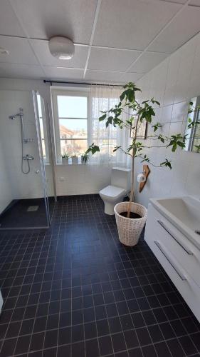 KadrinaKadrina St. Catharine's Guesthouse的浴室设有卫生间,内有盆栽植物