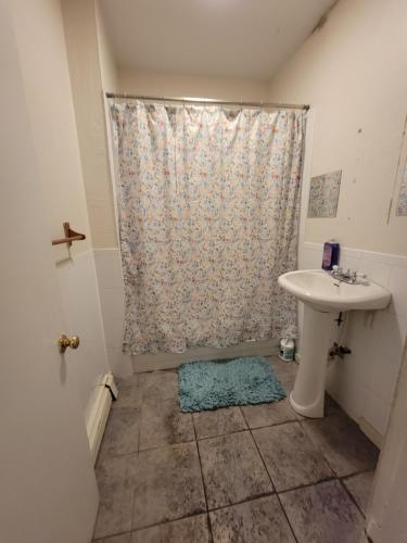 波士顿GUEST HOUSE NEAR DOWTOWN BOSTON的一间带水槽和淋浴帘的浴室