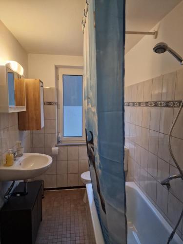 特里贝格Holiday Apartment near Triberg Waterfall的一间带水槽、卫生间和淋浴的浴室