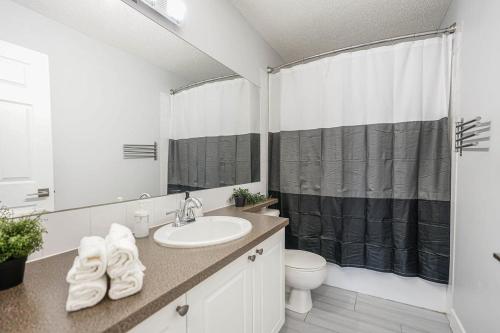 卡尔加里New Cozy 2 Bedrooms Condo w Parking的一间带水槽、卫生间和淋浴的浴室