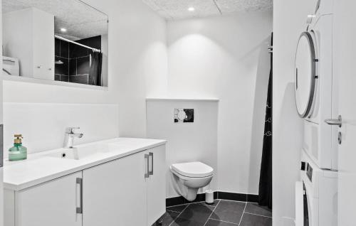 灵克宾Amazing Apartment In Ringkbing With Wifi的白色的浴室设有卫生间和水槽。