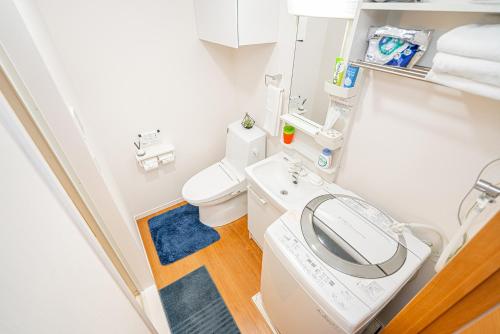 东京KYARA HOTEL 亀戸a的一间带卫生间和水槽的小浴室