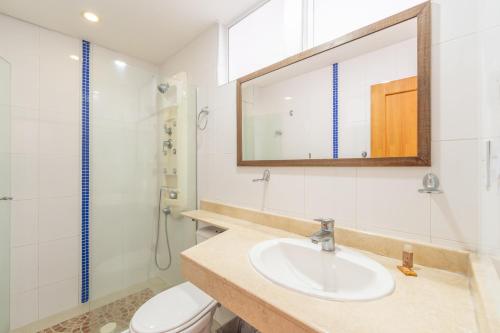 卡利Basic Hotel Centenario by Hoteles MS的一间带水槽、卫生间和镜子的浴室