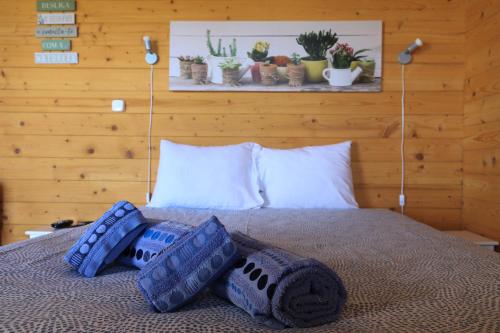 圣地亚哥-杜卡森Monte Sardinha的床上有蓝色的枕头和植物