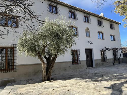 普埃夫拉德东法德里克Cortijo San Roque Alojamientos Rurales的白色建筑前的树