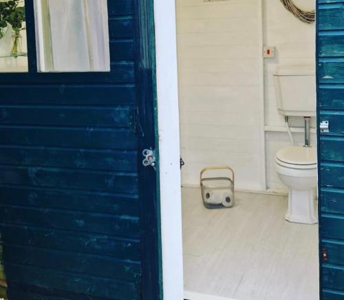 AstburyPeggy’s Hut的一间带卫生间和蓝色门的浴室