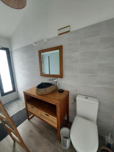 圣罗斯LE PETIT PARADIS的浴室设有卫生间,木制梳妆台上设有镜子