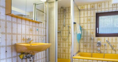 科齐扎尔滕Ferienhaus Pfisterhof的一间带水槽和淋浴的浴室