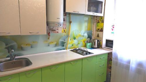 敖德萨Apartment - Generala Petrova Street的厨房配有绿色橱柜和台面